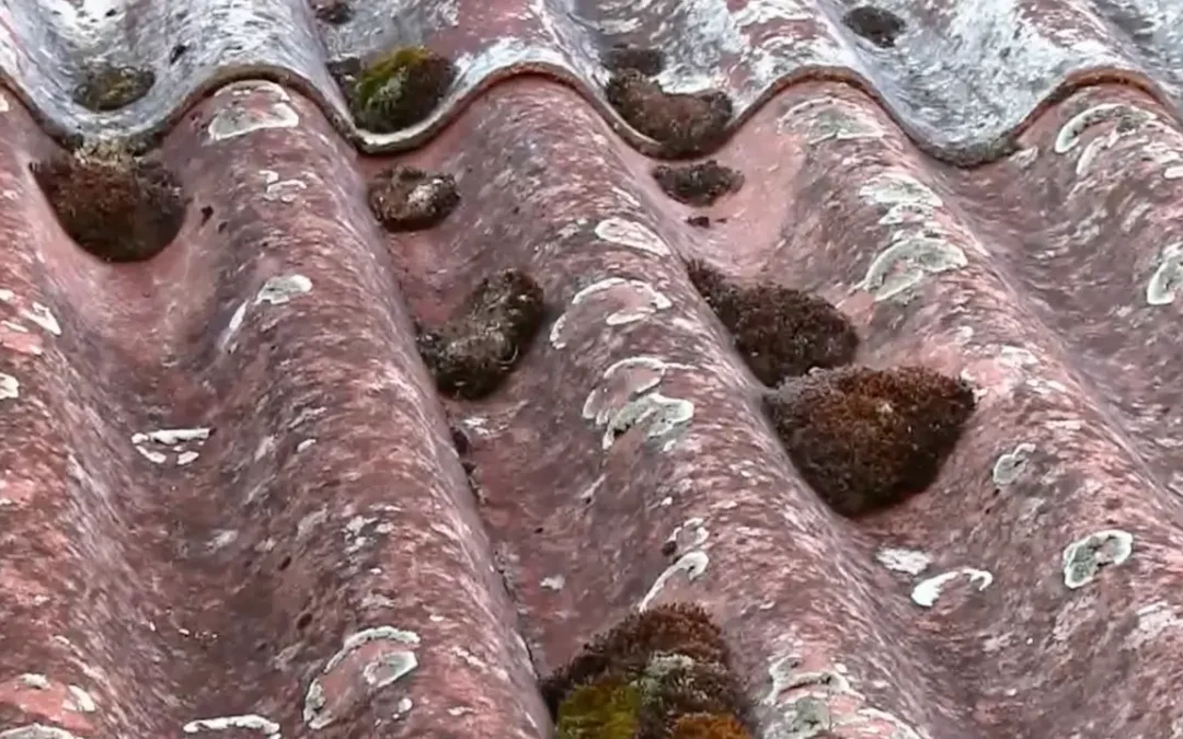 Peut-on vendre une maison avec un toit en amiante ?